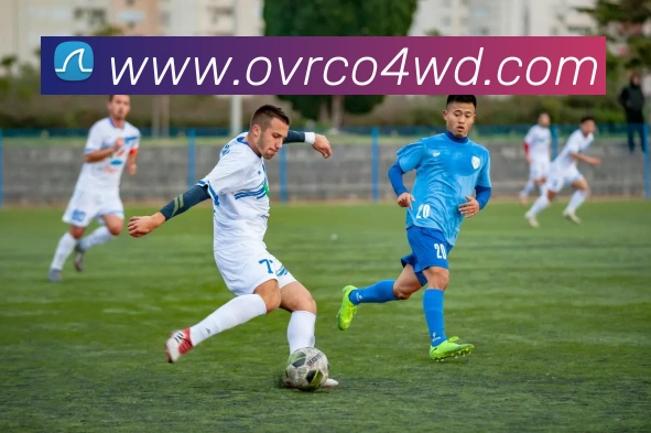 问鼎官网入口服务体系